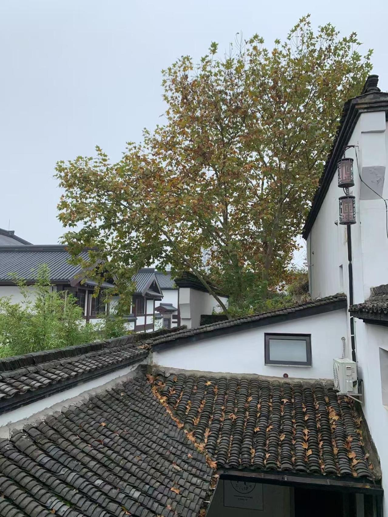 Youxiake Canal Hotel Hangzhou Extérieur photo